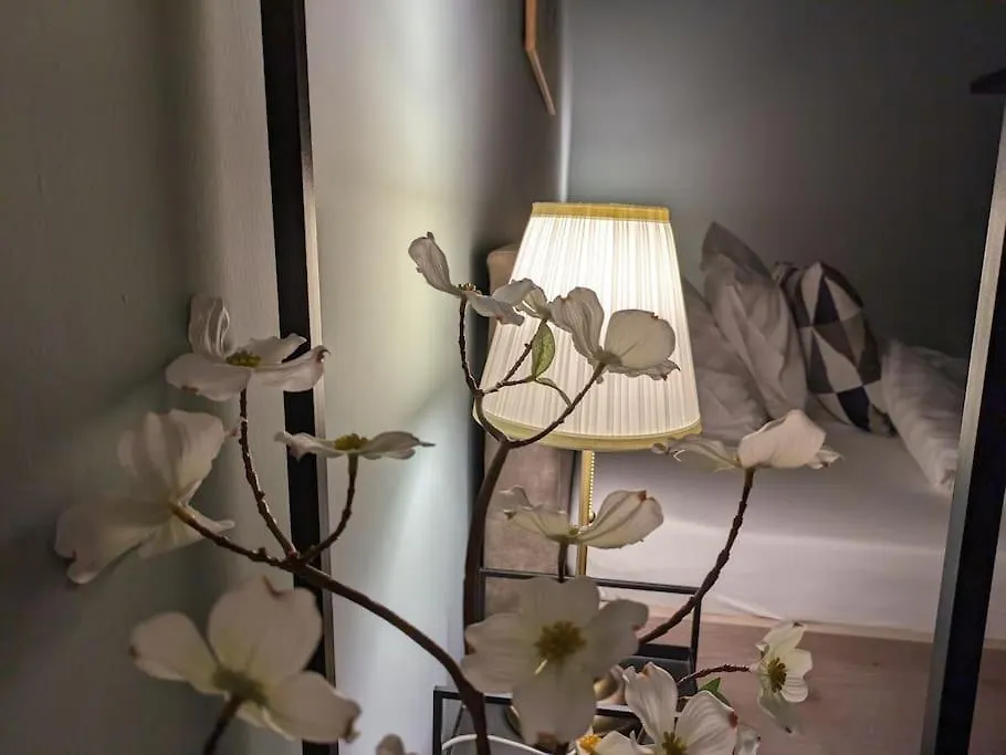 Astoria Downtown Apartment 布达佩斯 0*,